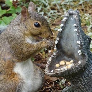 Meet your Posher, William